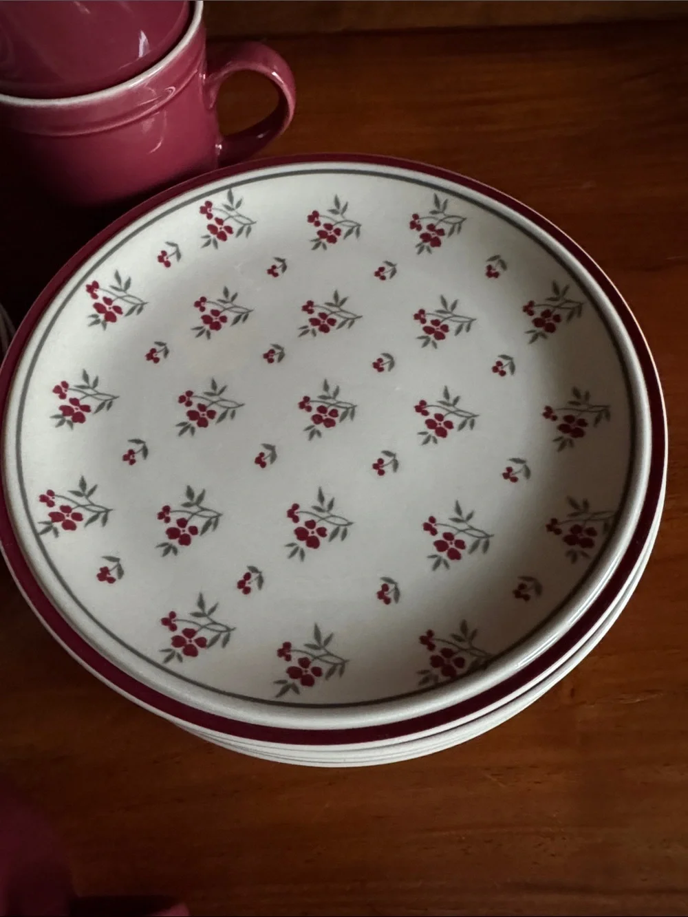 Burgundy Red Salad Plates, Teacups & Saucer Floral Newcor Stoneware 12 Pieces